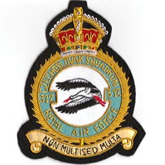 312 Squadron RAF Blazer Badge